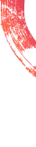 vector101